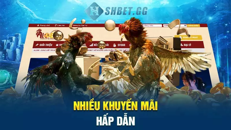 Alo888 - Cổng cá cược xanh chín, chất lượng tại Việt Nam 5 Nhiều khuyến mãi hấp dẫn